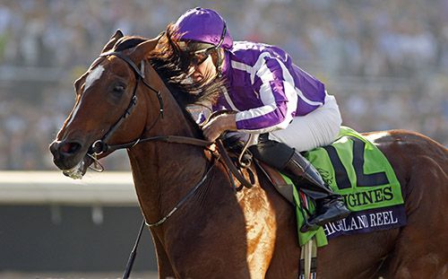 Seamie Heffernan and Highland Reel