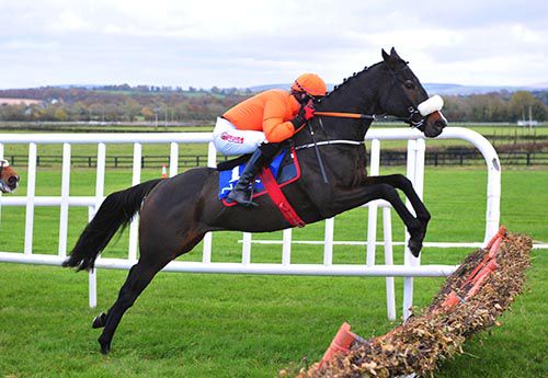De Plotting Shed (Cian Collins) makes all at Naas