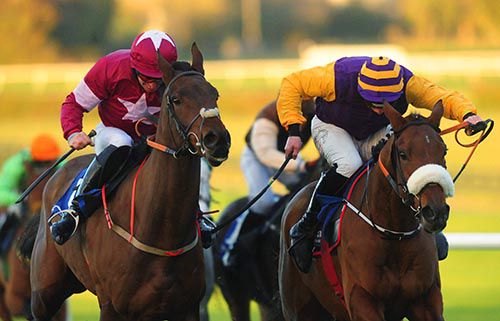 In the purple and gold silks Jamie Codd keeps Brelade ahead from Mind's Eye (Davy Roche)