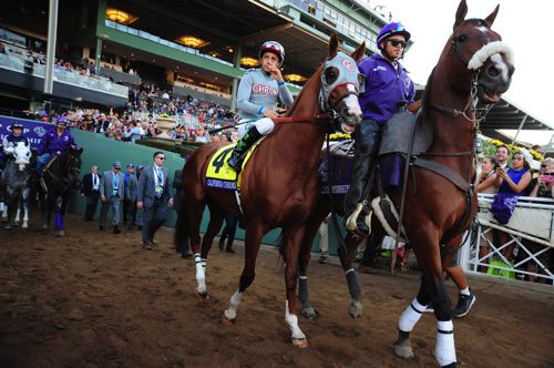 California Chrome