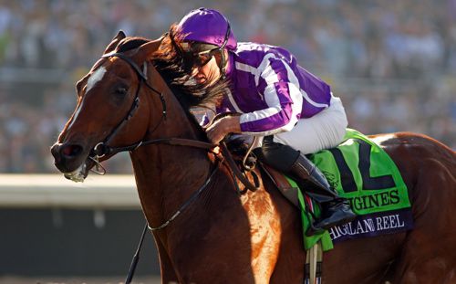 Highland Reel