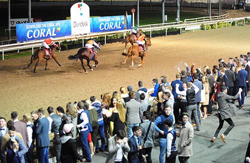 Chestnut Fire and Shane Foley are popular winners on DKIT Students Union Race Night