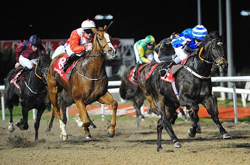Shelbe and Mick Hussey leads them home in the finale at Dundalk