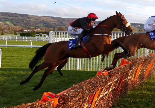 Peregrine Run and Roger Loughran