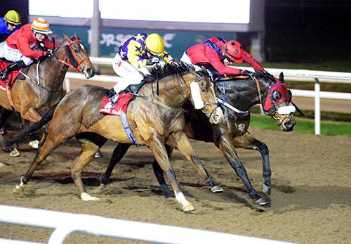In the red and blue silks Tom Madden forces Seeking Truth home from Lily's Prince (Colin Keane)
