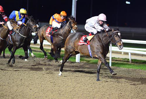 Stronger Than Me and Pat Smullen come home in front