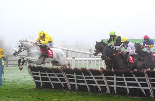 Dalmatia, left, leads them home in Punchestown