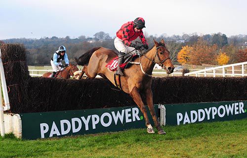 Mikey Fogarty completes a 44/1 Cork double on Isleofhopendreams