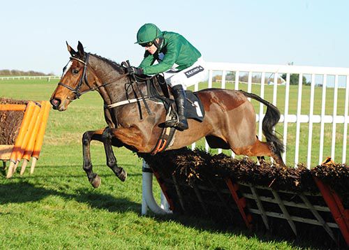 Augusta Kate (Ruby Walsh) is clear at the final flight