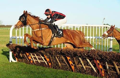 Neddyvaughan and Mark Walsh win in good style at Thurles