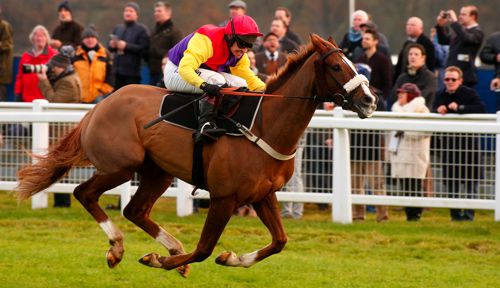 Native River and Richard Johnson