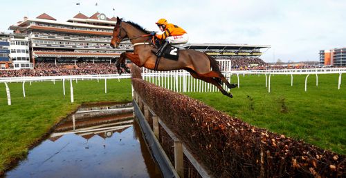 The Colin Tizzard-trained Thistlecrack