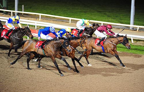 Duplication and Donnacha O'Brien prevail