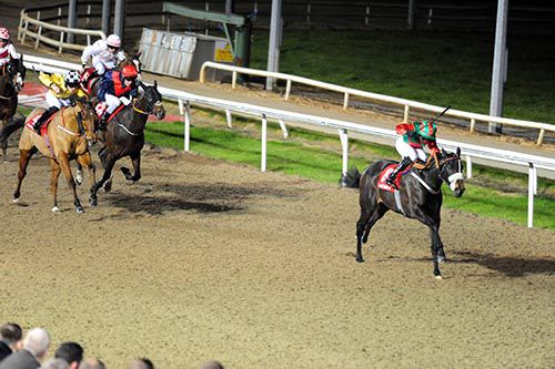 Super Focus (Shane Kelly) draws clear at Dundalk last Friday