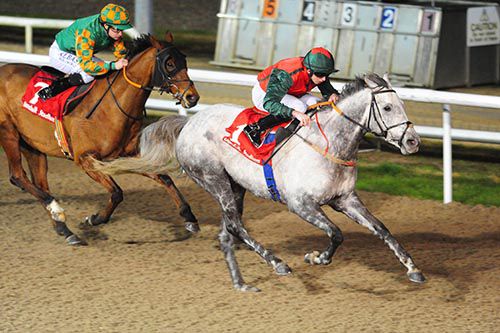 Honor Oak (Conor Hoban) beating Coach Bombay