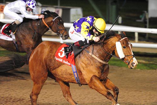 Lily's Prince (Colin Keane) completes a double for trainer Garvan Donnelly