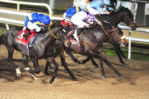 Heavy Weight (noseband) wins under Kevin Manning