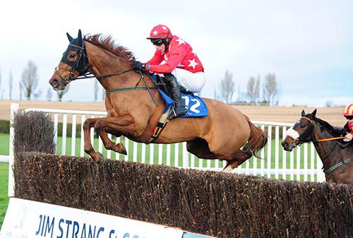 Powersbomb (Mikey Fogarty) jumps the last to win the beginners chase