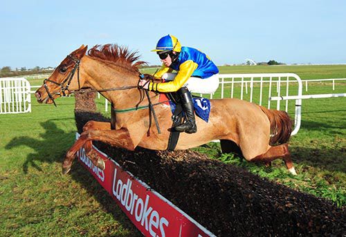 The Conker Club and Eamonn Corbett