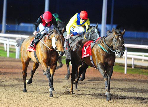 A Shin Impala (left) and Wayne Lordan chase the riderless Reddot Espress 