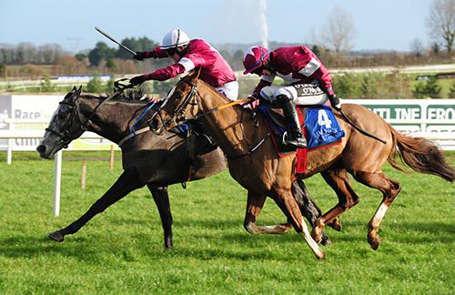 Tout Est Permis (far side)