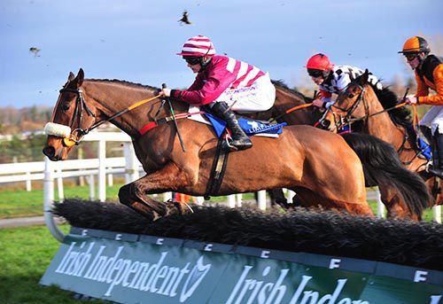 Lizzies Champ took the honours in Limerick