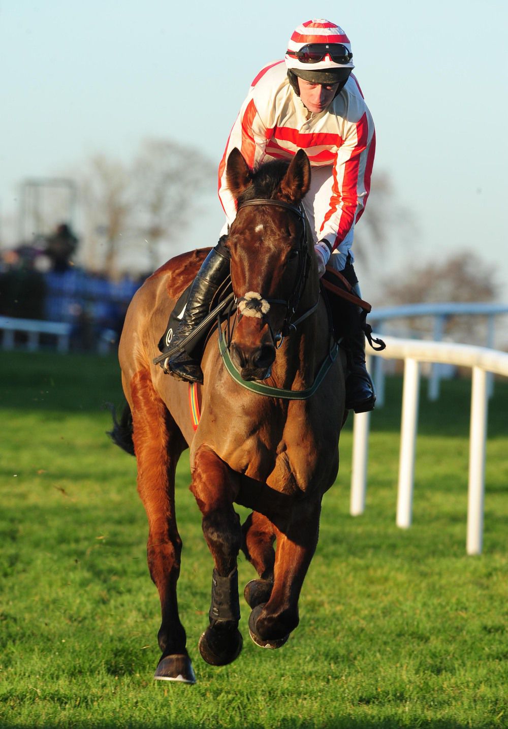 Arctic Skipper - seen here under Roger Loughran at Leopardstown