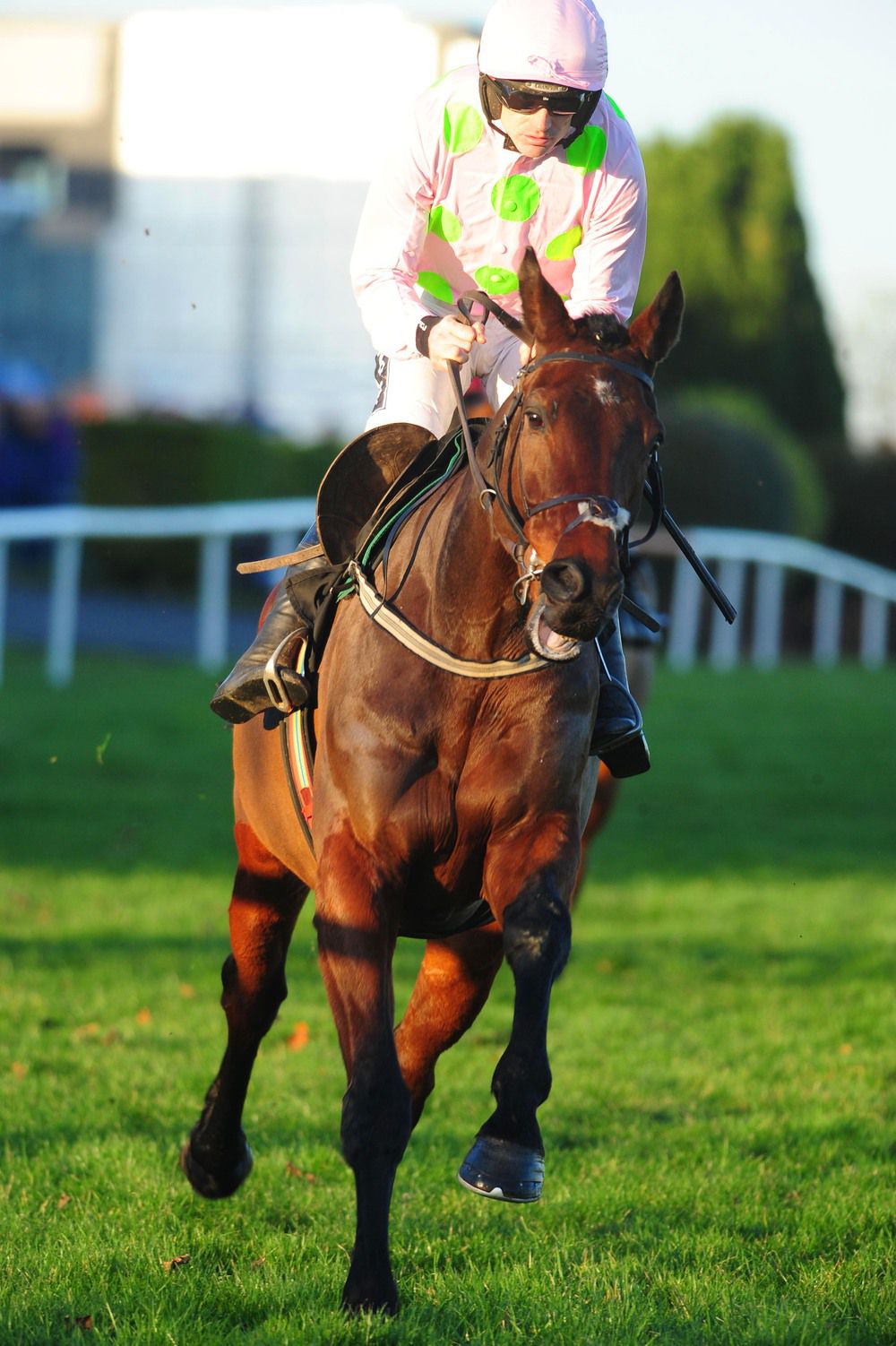 Djakadam and Ruby Walsh 