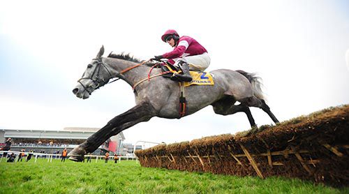 Petit Mouchoir and Bryan Cooper clear the last