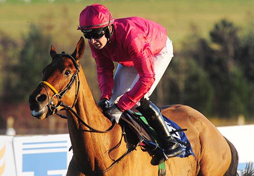 Minella Fair comes home an easy winner under Danny Benson