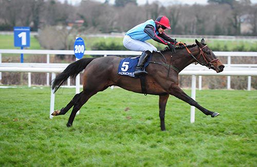 Quick Grabim is ridden out by Finian Maguire