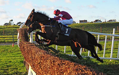 Catalunian Fields and Barry John Foley