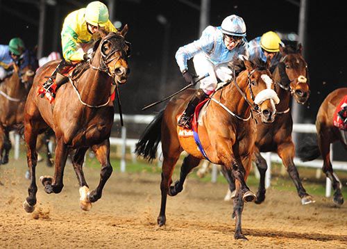 Udogo wins under Ana O'Brien