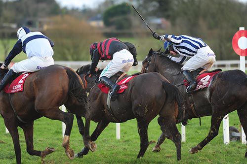 J J Slevin (stripes) gets up on Boru Boy to touch off Iconic Image (centre) and Alkaa Lion