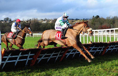 Moores Road and Andrew Ring race on for victory from Toon River