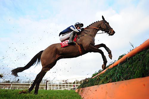 Uncle Danny and Danny Mullins jump the last