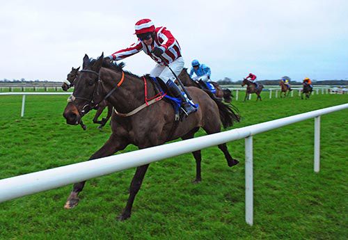 Paloma Blue and David Roche