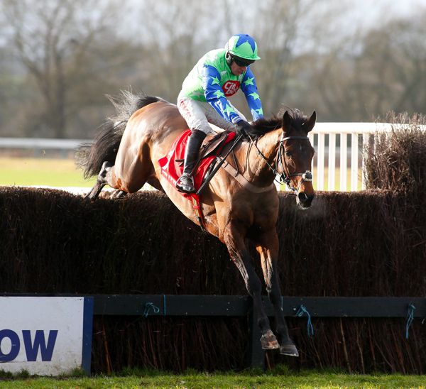 The Harry Fry-trained American