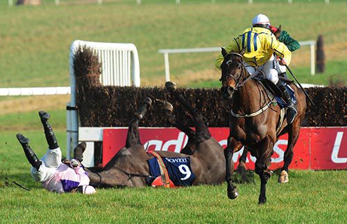 Westerner Lady is left clear by the final fence fall of Keppols Queen