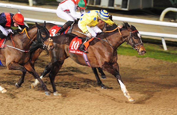 Hello Humpfrey and Niall McCullagh hold off Bottleofsmoke