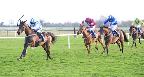 Mystic Theatre wins under Patrick Mullins