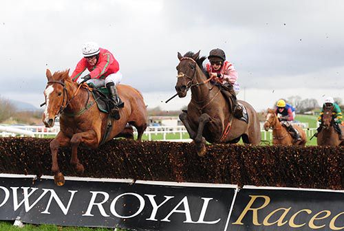 Honest Robber (right) tackles Cappacurry Zak