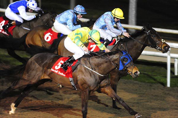 Specific Gravity and Ronan Whelan gain the day