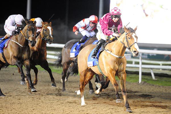 Patrick and Evan Daly