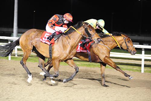 Guanabara Bay (Colin Keane) gets the better of Cappadocia (Ronan Whelan)