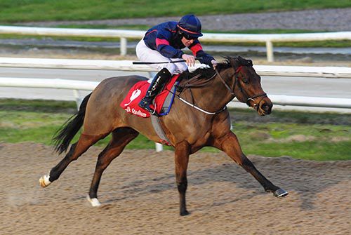 Sebastian Bach and Shane Kelly