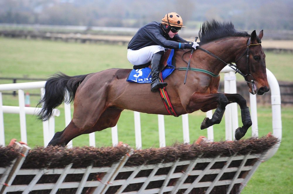 Ryan Treacy winning on Yaha Fizz earlier this year