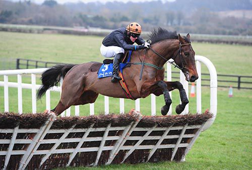 Yaha Fizz and Ryan Treacy