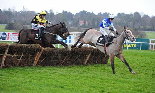 Bacardys chases Bunk Off Early over the last