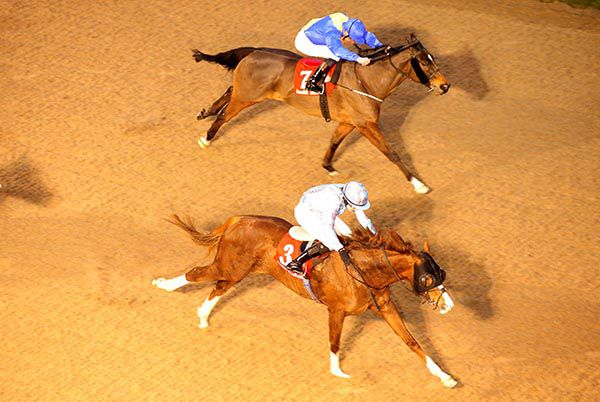 Palavicini Run and Ana O'Brien beat Strategic Heights and Kevin Manning